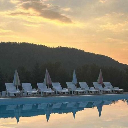 Forest Camp Despotovac Zewnętrze zdjęcie