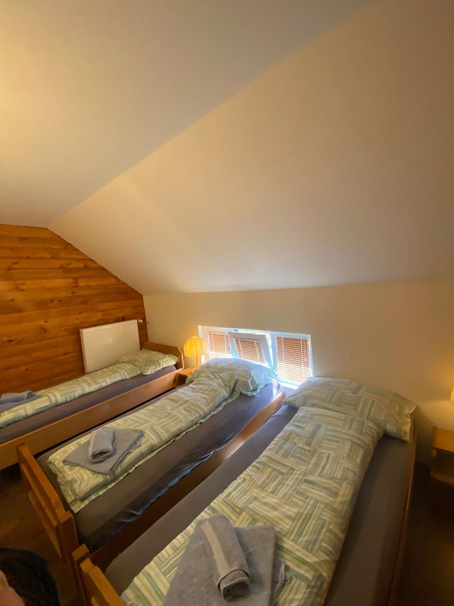 Forest Camp Despotovac Zewnętrze zdjęcie