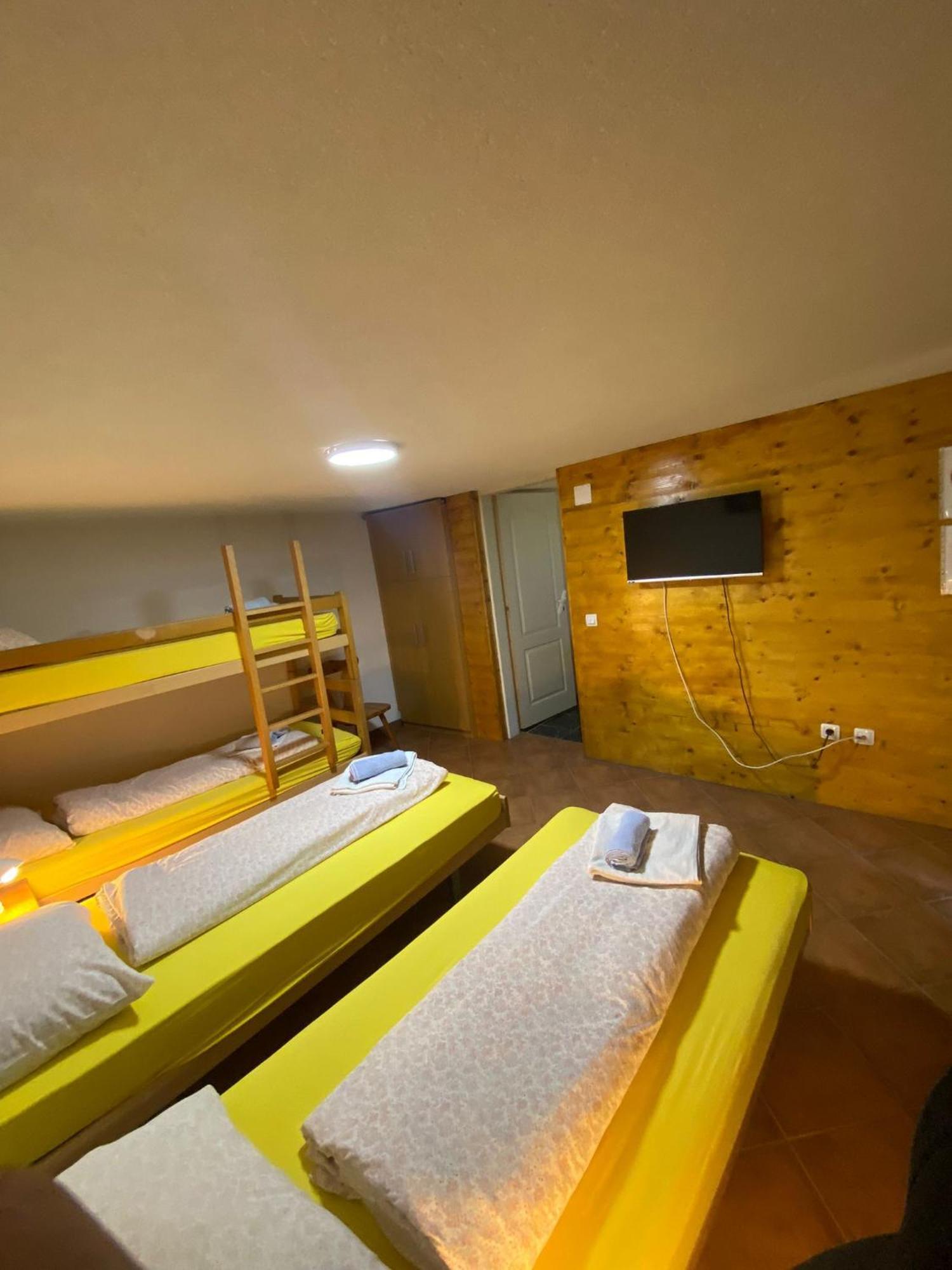 Forest Camp Despotovac Zewnętrze zdjęcie