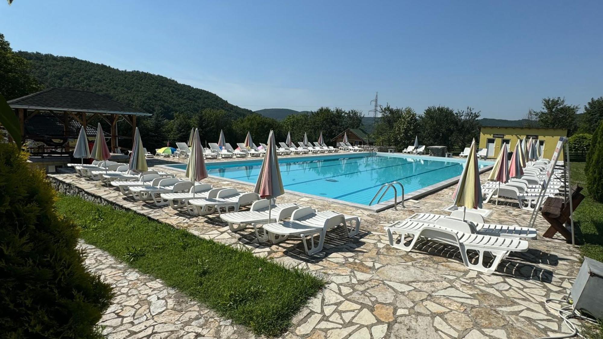 Forest Camp Despotovac Zewnętrze zdjęcie