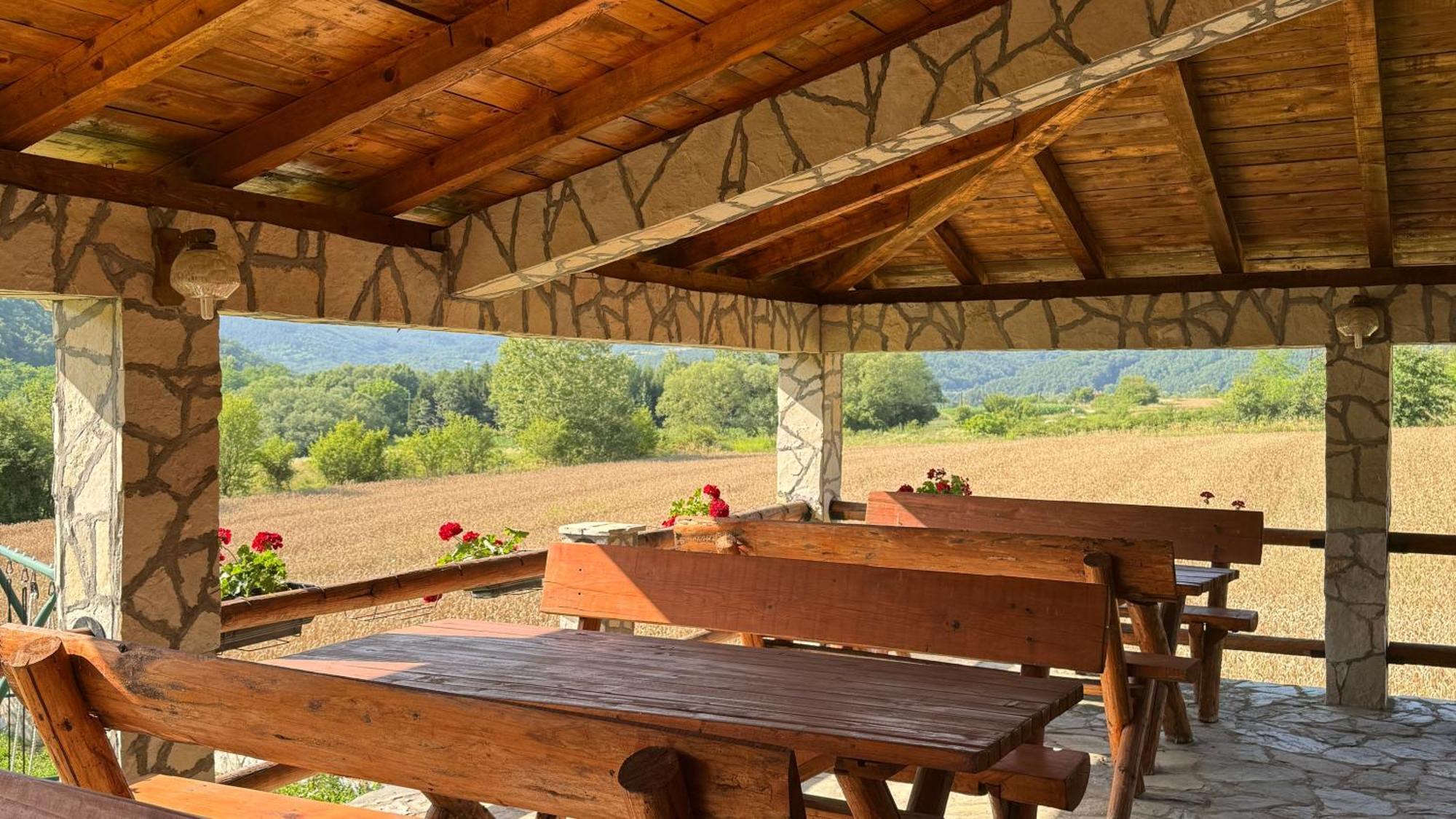 Forest Camp Despotovac Zewnętrze zdjęcie