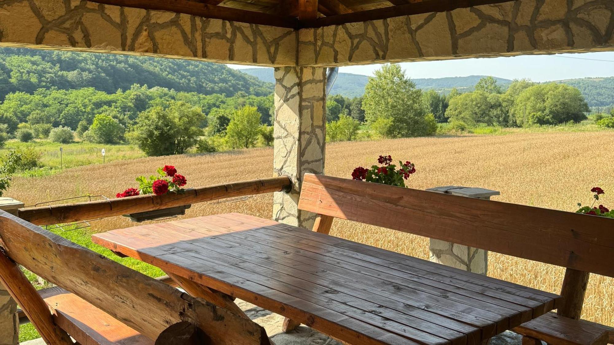 Forest Camp Despotovac Zewnętrze zdjęcie