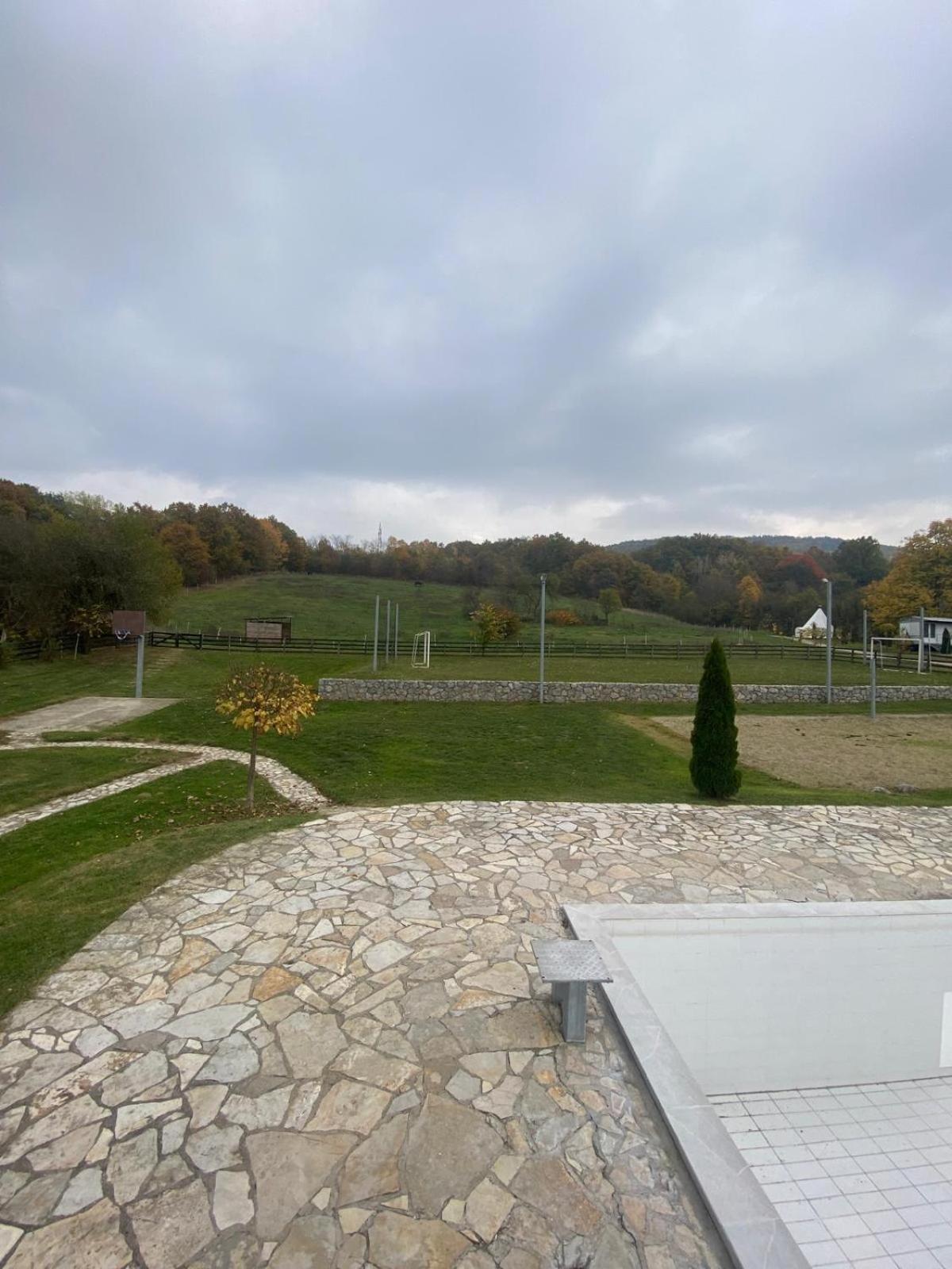Forest Camp Despotovac Zewnętrze zdjęcie