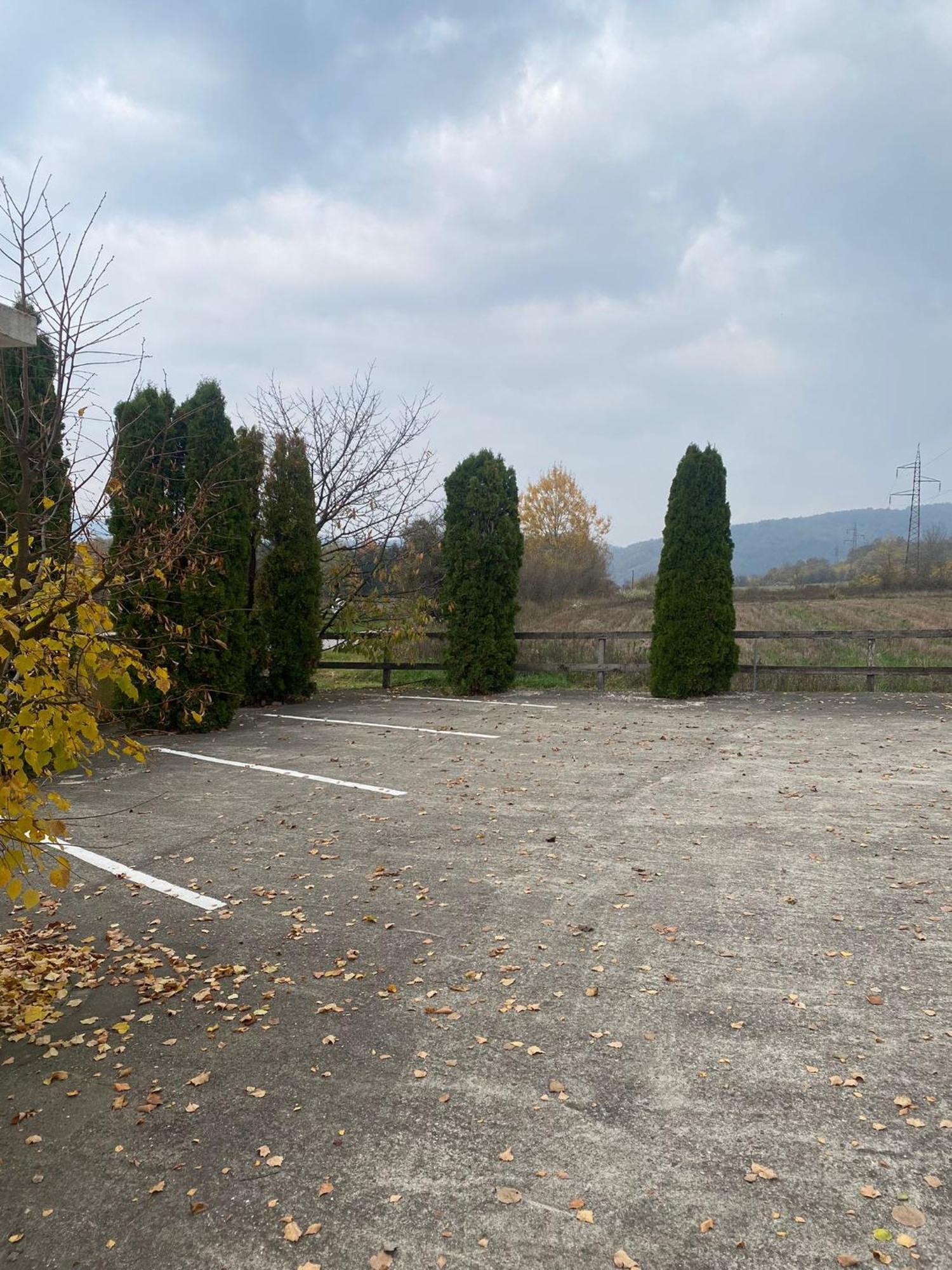 Forest Camp Despotovac Zewnętrze zdjęcie