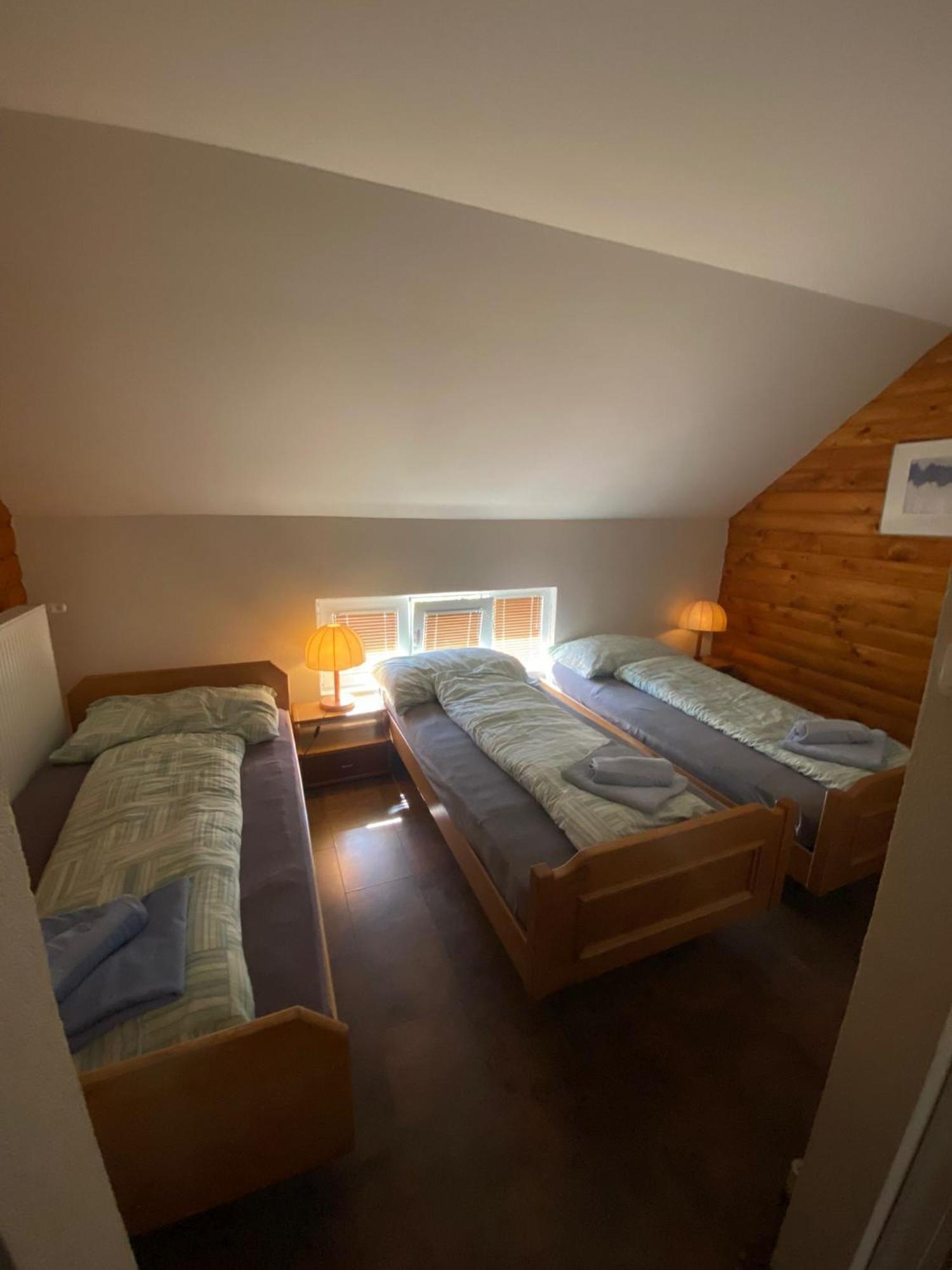 Forest Camp Despotovac Zewnętrze zdjęcie